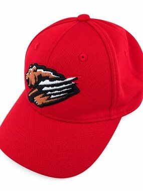 Fresno Grizzlies Youth MiLB Red Baseball Hat OC Sports